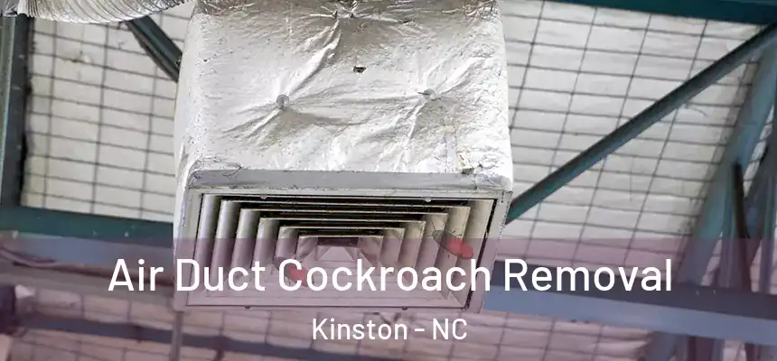  Air Duct Cockroach Removal Kinston - NC