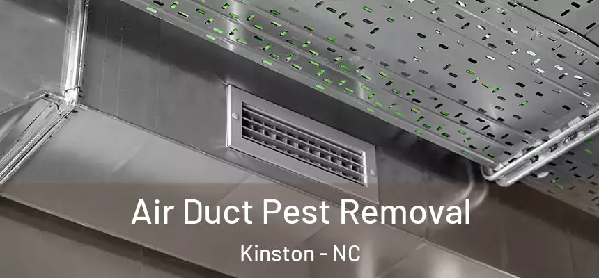  Air Duct Pest Removal Kinston - NC