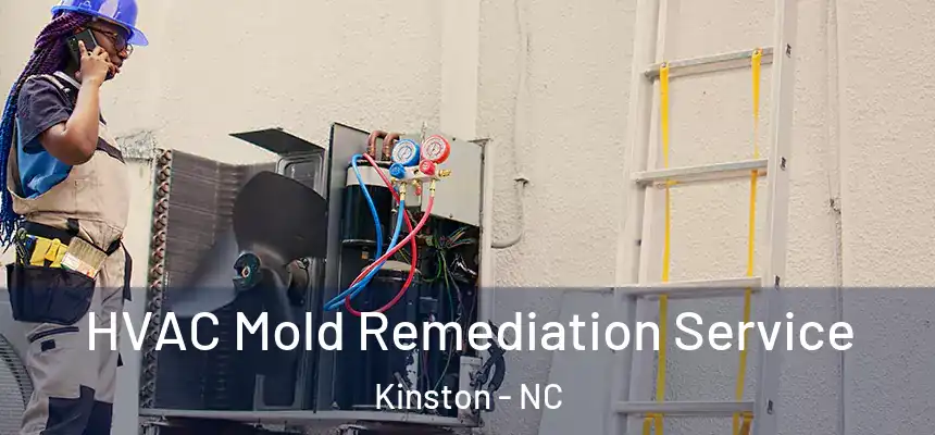  HVAC Mold Remediation Service Kinston - NC