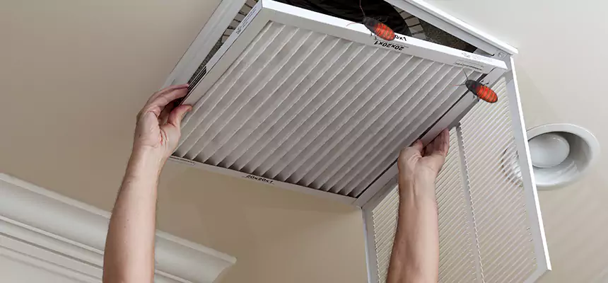 Preventive Cockroach-Proofing for Ducts in Kinston