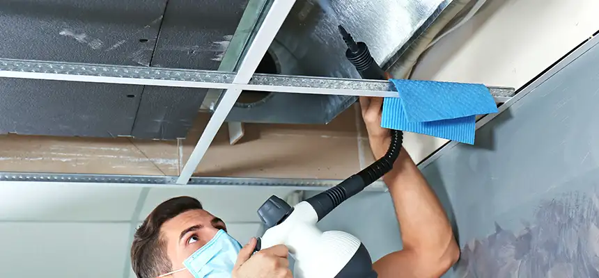 Our Air Duct Rodent Removal Services in Kinston, NC