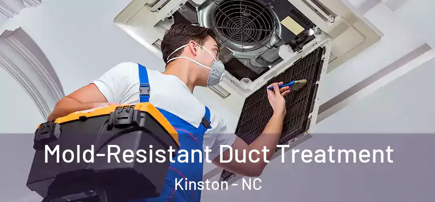  Mold-Resistant Duct Treatment Kinston - NC