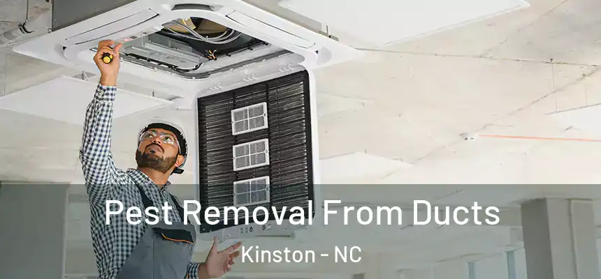Pest Removal From Ducts Kinston - NC