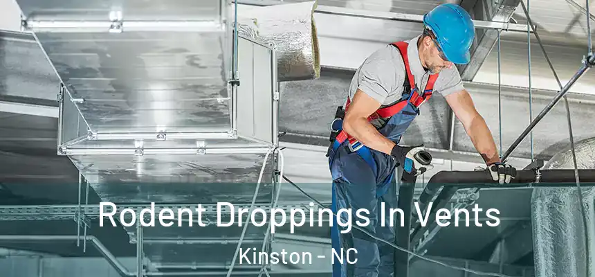  Rodent Droppings In Vents Kinston - NC