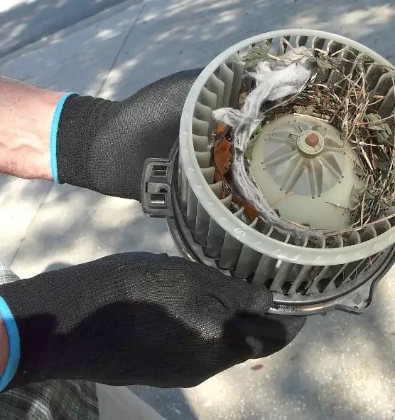 About Air Duct Mice Removal in Kinston, NC