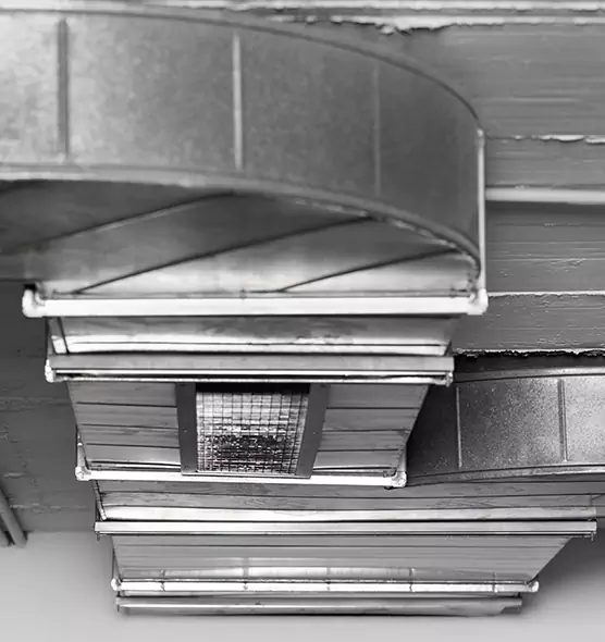 Professional Air Duct Pest Removal in Kinston, NC