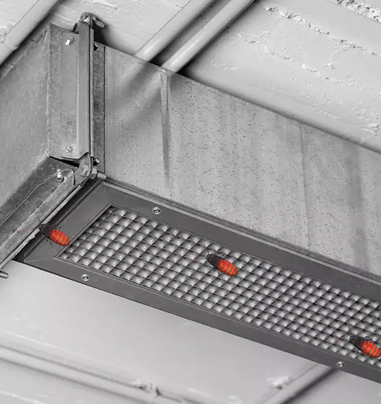 Affordable Insect Removal from Air Ducts in Kinston, NC