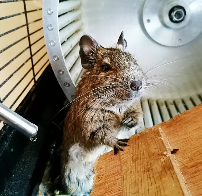 Why Homeowners & Businesses Trust Us Kinston, NC?