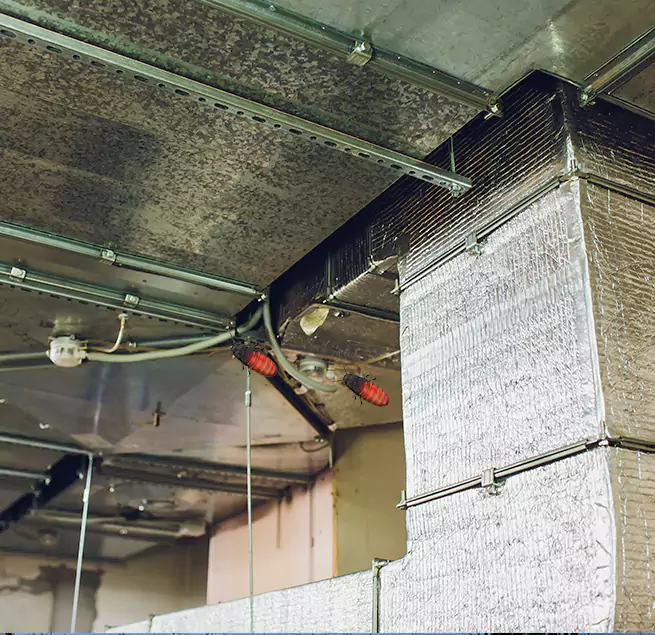 Why Homeowners & Businesses Trust Us Kinston, NC?