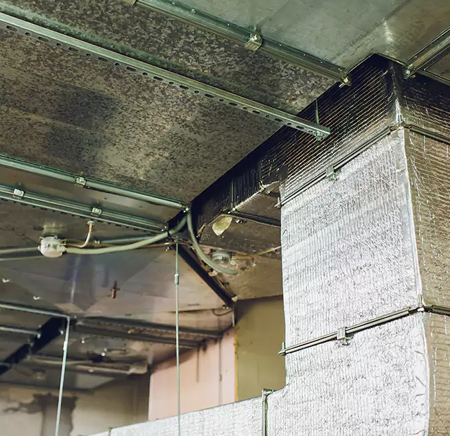 Why Homeowners & Businesses Trust Us in Kinston, NC?